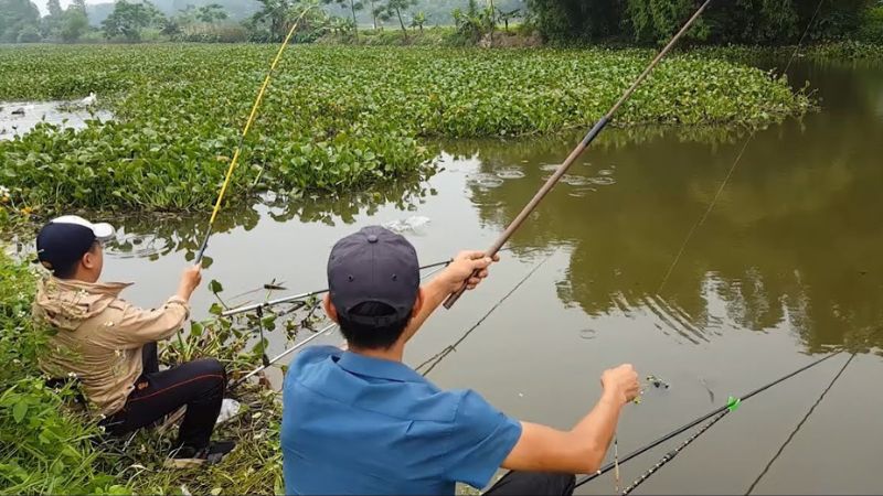 Đánh số mấy khi mơ thấy ăn trộm cá?