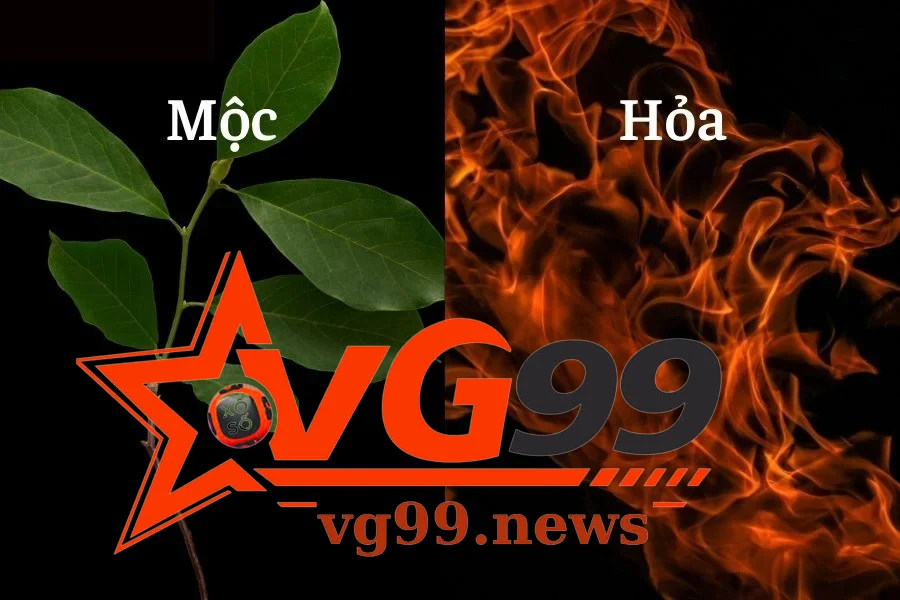 Moc sinh Hoa nghia la gi