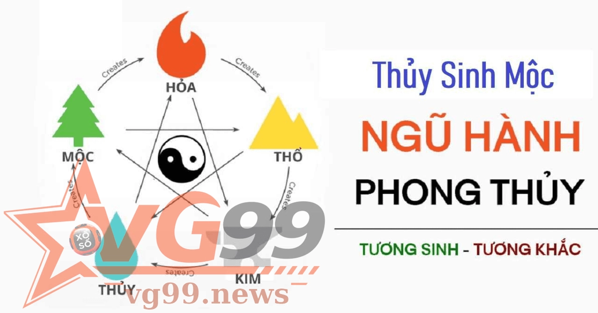 Thủy sinh mộc trong tương sinh ngũ hành