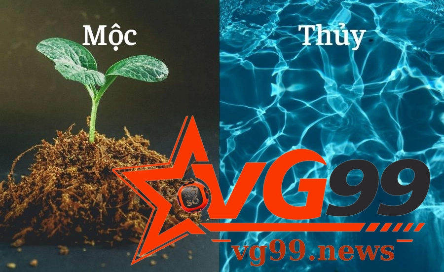 Ý nghĩa Thủy sinh mộc trong đời sống