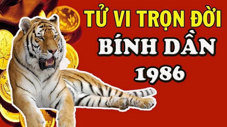 Tử vi trọn đời cho ai sinh năm Bính Dần