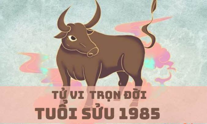 Xem tử vi trọn đời cho tuổi Ất Sửu 1985