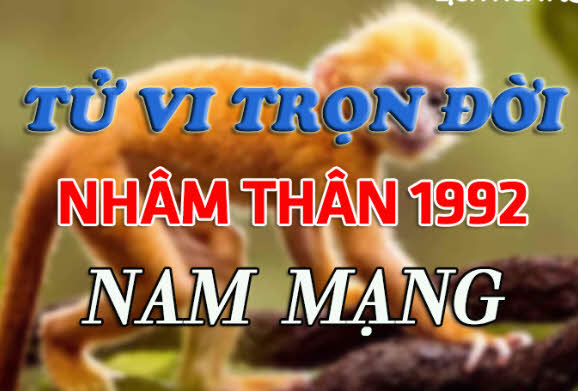 Nam mạng với tử vi trọn đời cho Nhâm Thân 1992