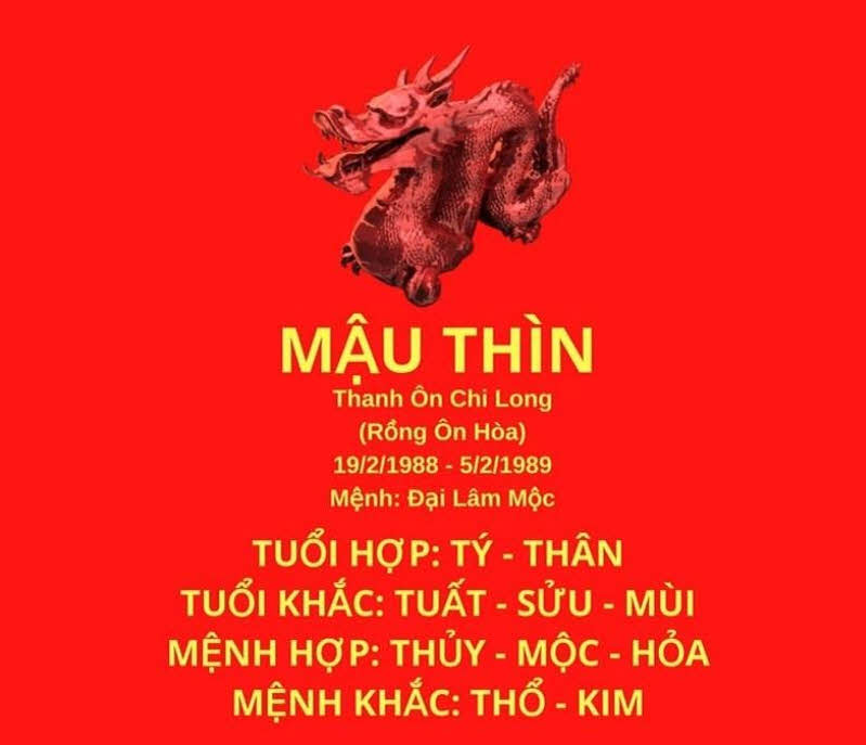 Tổng quan tuổi Mậu Thìn 1988