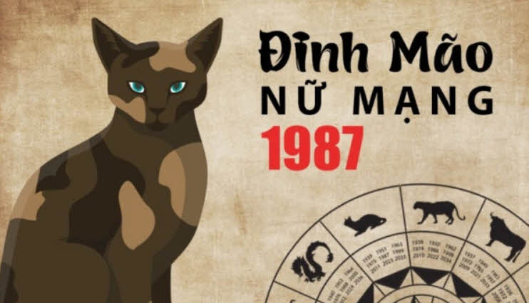 Tử vi Đinh Mão 1987 cho Nữ mạng